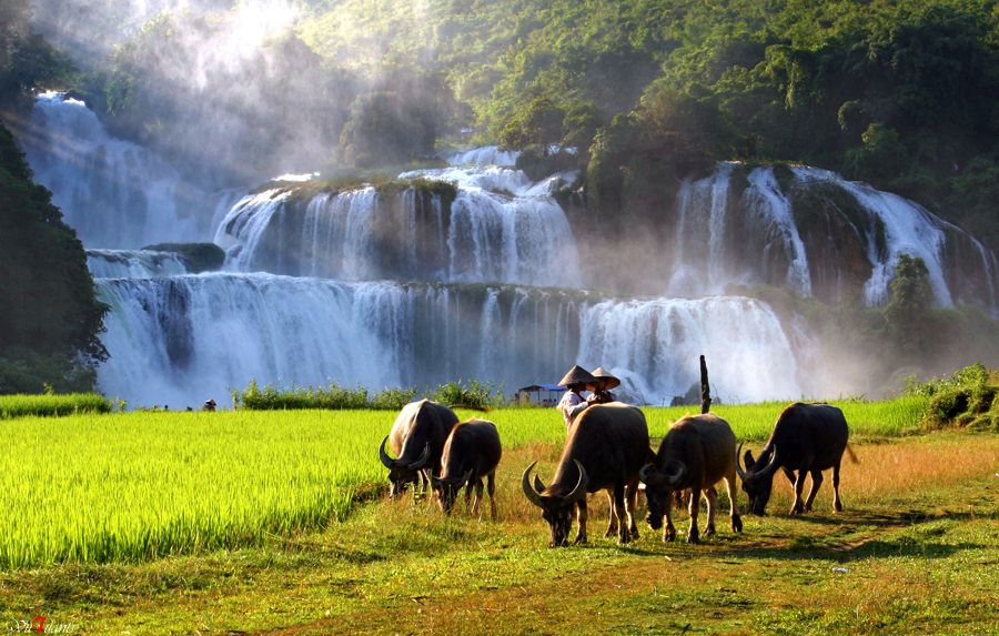 Top 5 waterfalls to visit in South East Asia Ban Gioc – Detian Falls, Vietnam